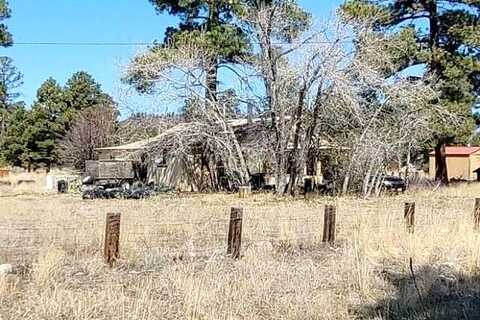 Timberidge Road, Chama, NM 87520