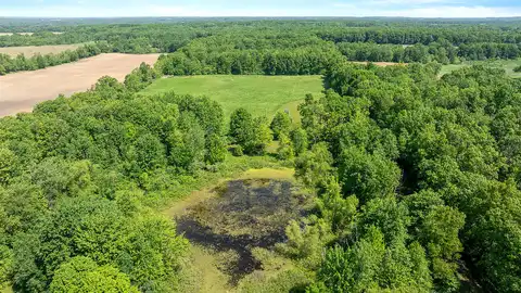 Hastings Lake, JONESVILLE, MI 49250