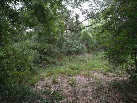 Se 96Th Street, Ocklawaha, FL 32179