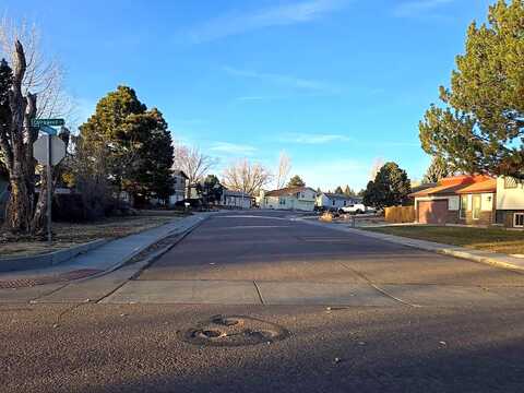 Chickweed, COLORADO SPRINGS, CO 80917