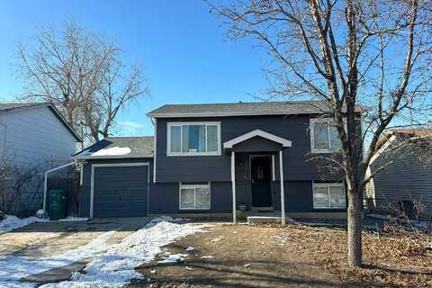 Birch, HUDSON, CO 80642