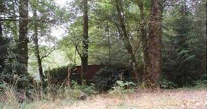 Yacolt Mountain, YACOLT, WA 98675