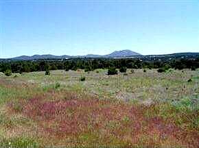 Nature Pointe, Tijeras, NM 87059