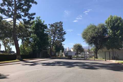 Lingonberry, HOUSTON, TX 77033
