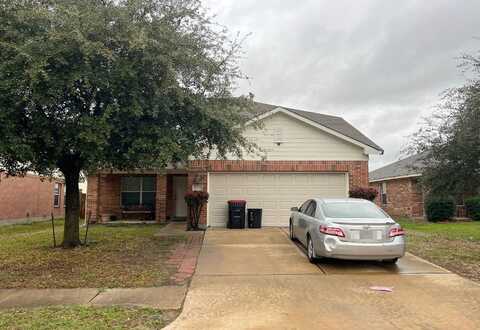 Dewberry Creek, KATY, TX 77449