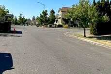 Dusky, RIDGEFIELD, WA 98642