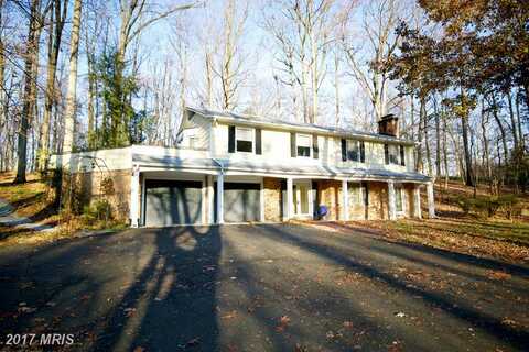 Blue Ridge, GREAT FALLS, VA 22066