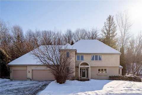 Ginger, EDEN PRAIRIE, MN 55346