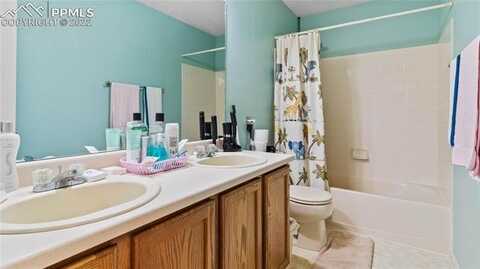 Purple Thistle, COLORADO SPRINGS, CO 80922