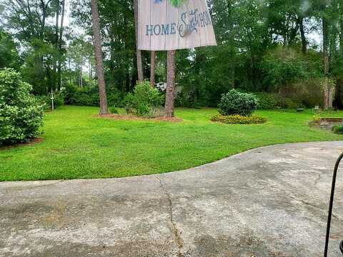 Dogwood, NASHVILLE, GA 31639