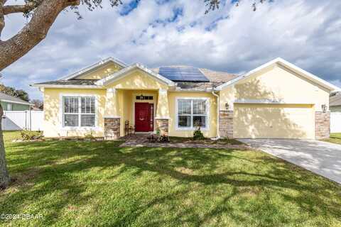 Chicory, TITUSVILLE, FL 32780