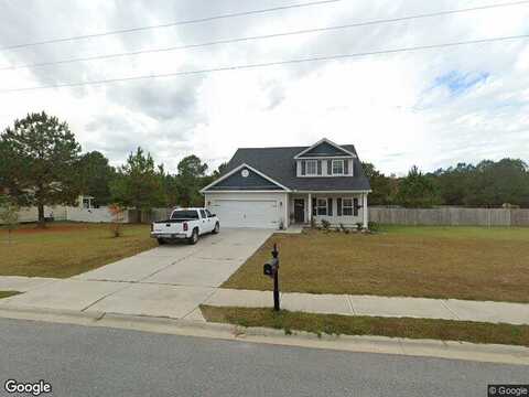 Saddlebrush, ELLABELL, GA 31308