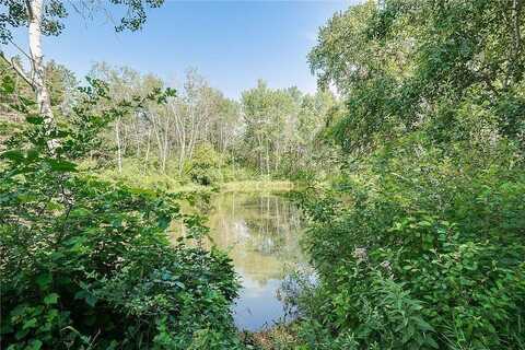 Anemone, SAINT PAUL, MN 55127