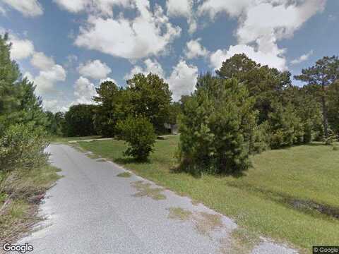 Sandpiper, MIDWAY, GA 31320