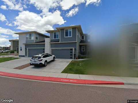 Alyssum, COLORADO SPRINGS, CO 80924