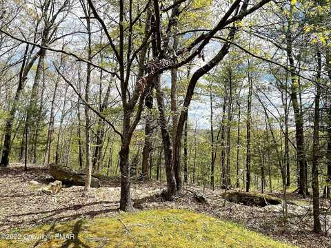 Janet, EAST STROUDSBURG, PA 18301