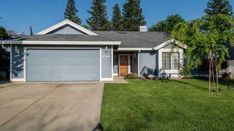 Lichen, CITRUS HEIGHTS, CA 95621