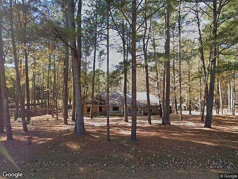 Squirrel, FORTSON, GA 31808