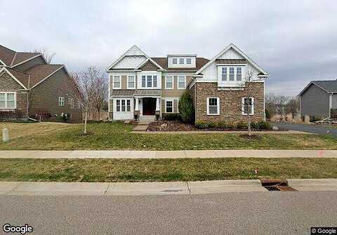 Aster, HAMEL, MN 55340