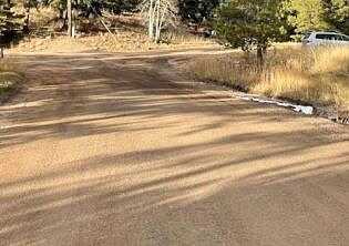 Lodgepole, EVERGREEN, CO 80439