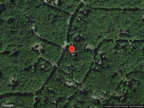 Paper Birch, TAFTON, PA 18464