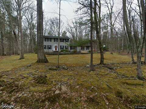 Partridge, MILFORD, PA 18337