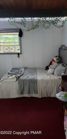 Clifton, BUSHKILL, PA 18324