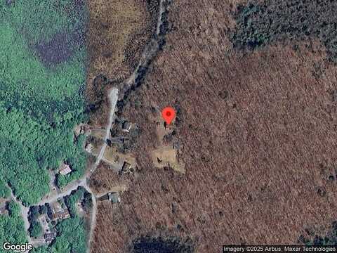 Black Forest, MILFORD, PA 18337