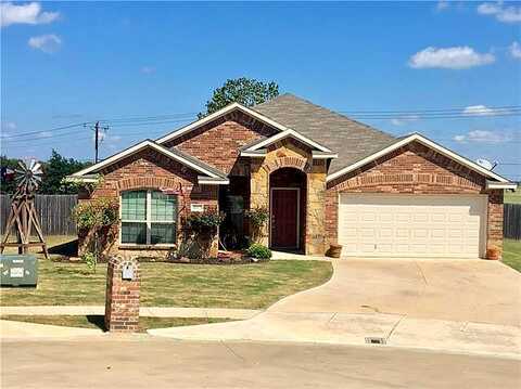 Windmill, SANGER, TX 76266