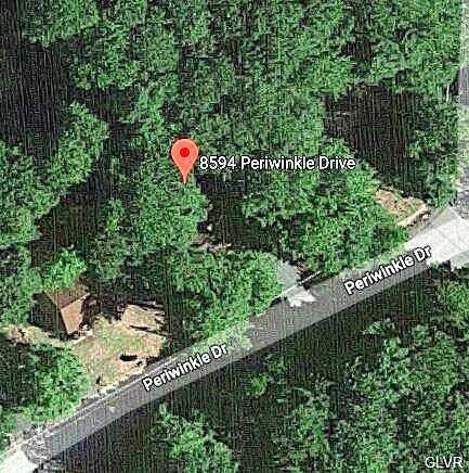 Periwinkle, TOBYHANNA, PA 18466