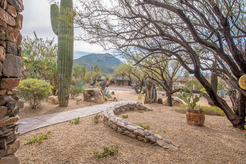 Egret, CAVE CREEK, AZ 85331