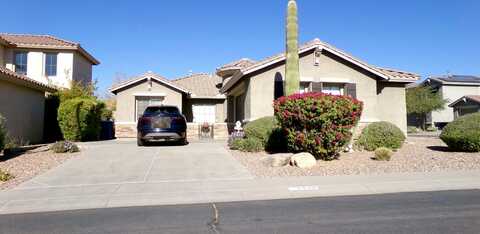 Shackleton, PHOENIX, AZ 85086