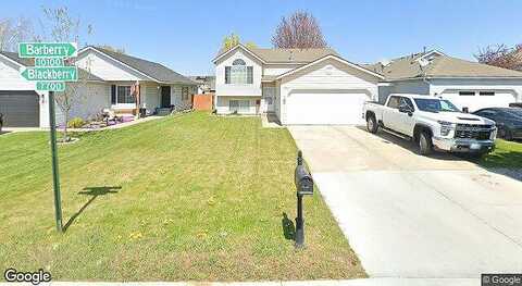 Barberry, CHENEY, WA 99004