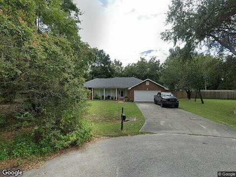 Butterfly, CRAWFORDVILLE, FL 32327