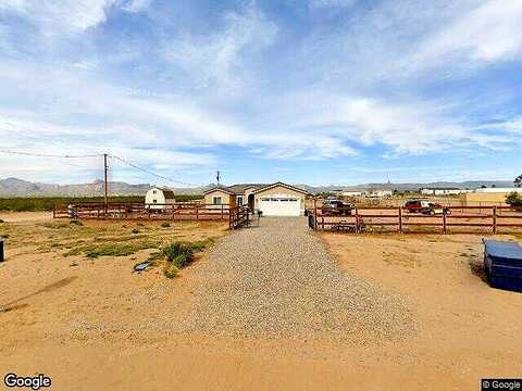 Teddy Roosevelt, GOLDEN VALLEY, AZ 86413