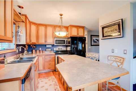 Palomino, BRAHAM, MN 55006