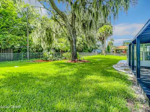 Kumquat, EDGEWATER, FL 32141