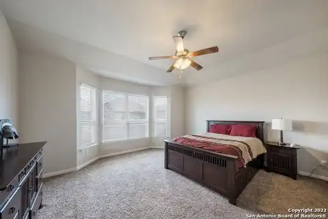 Daisy, NEW BRAUNFELS, TX 78130