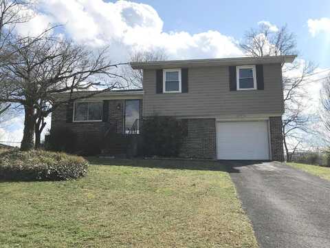 Pine, RINGGOLD, GA 30736