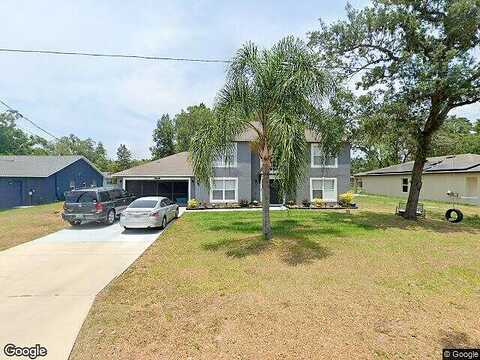 Begonia, SPRING HILL, FL 34608