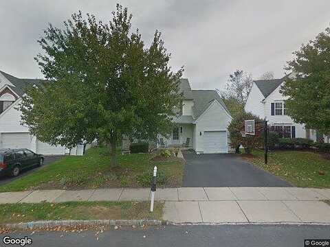 Sir Andrew, DOYLESTOWN, PA 18902