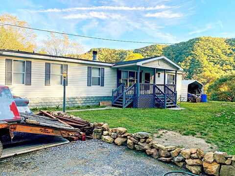Pickle Hollow, SALTVILLE, VA 24370