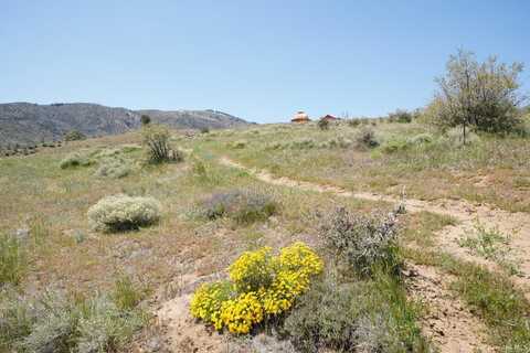 Snowshoe, TEHACHAPI, CA 93561