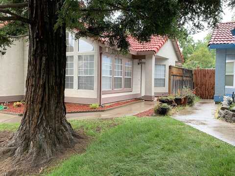 Fireweed, CITRUS HEIGHTS, CA 95610