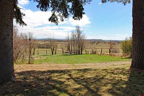 Road, LEWIS, CO 81327