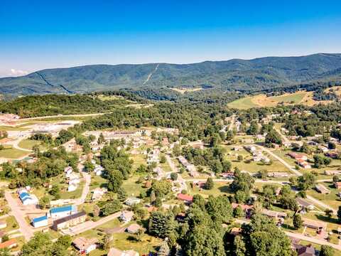Locust, PEARISBURG, VA 24134