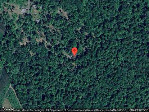 Elm, ZIONSVILLE, PA 18092