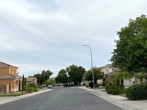 Salt Cedar, CHANDLER, AZ 85286