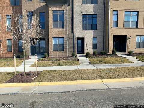 Sessile, FAIRFAX, VA 22030