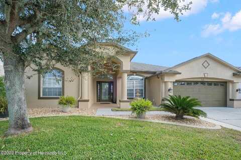 Swamp Rose, TRINITY, FL 34655